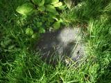 image number DN1505